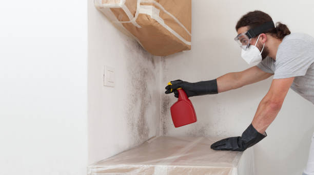 Professional Commercial Mold Remediation technician working in Harbert, MI