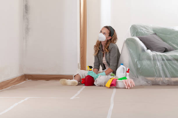 Reliable Commercial Mold Remediation contractor in Harbert, MI by WQB Mold Removal