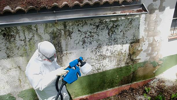 Top rated local Commercial Mold Remediation specialists in Harbert, MI